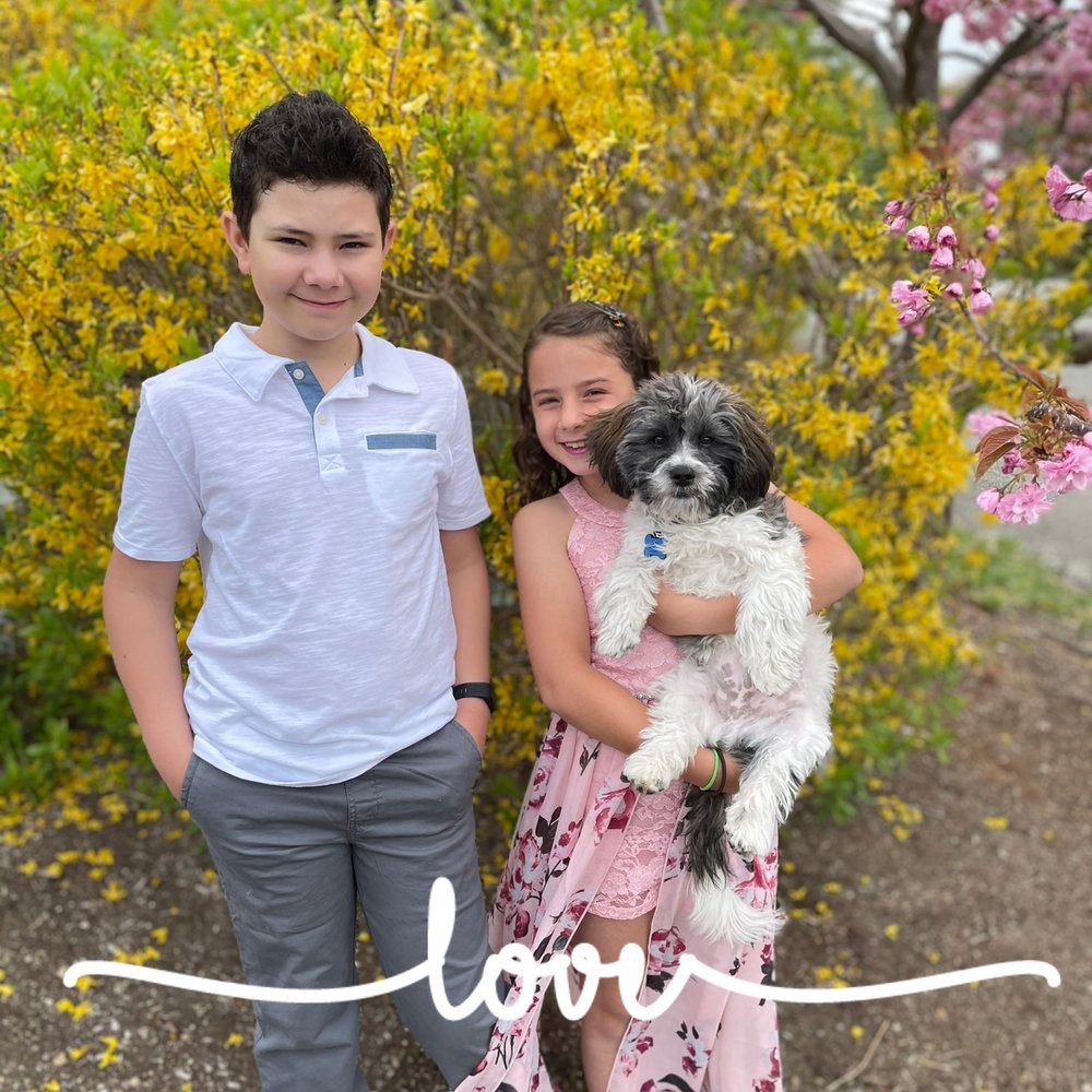 Meet your Posher, Erjona